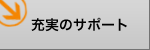 �[���̃T�|�[�g
