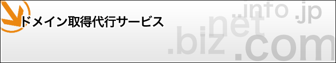 �h���C���擾��s�T�[�r�X