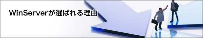 �E�B���T�[�o�[���I�΂�闝�R