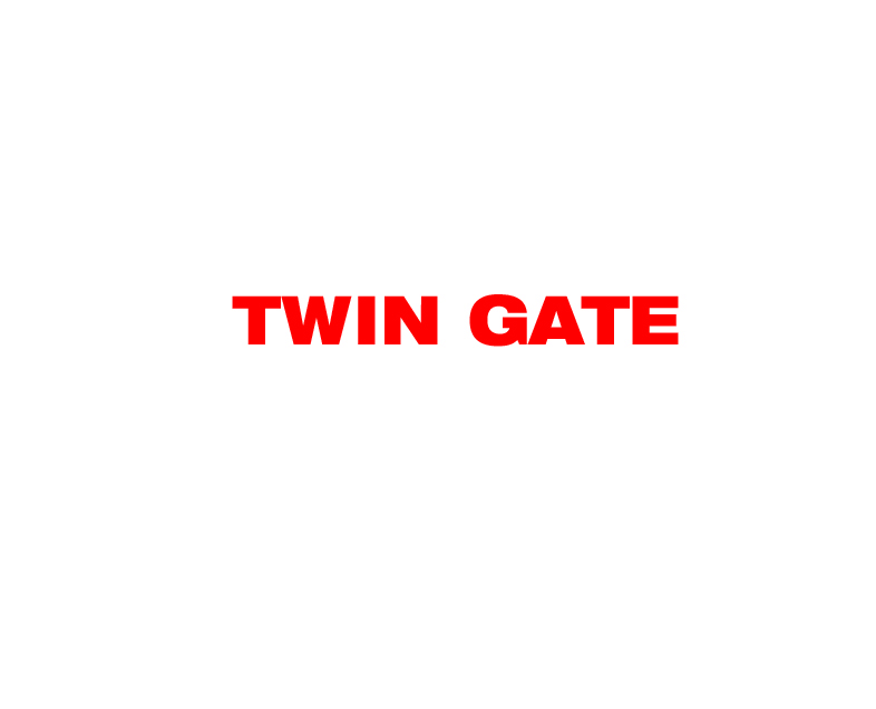 株式会社TWIN GATE様