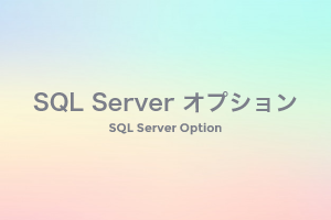 SQL Server オプション