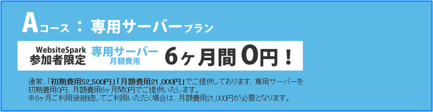 Aコース：専用サーバープラン
