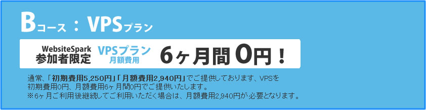 Aコース：専用サーバープラン