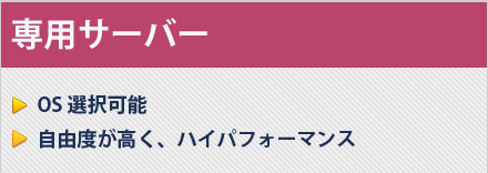 専用サーバー｜・OS選択可能 ・自由度が高く、ハイパフォーマンス｜月額費用 12,960円~